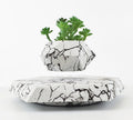 Marble Levitating Plant Pot - Magnetic Levitation Bonsai Planter for Office and Home Decor, Ideal for Kids' Birthday Gifts