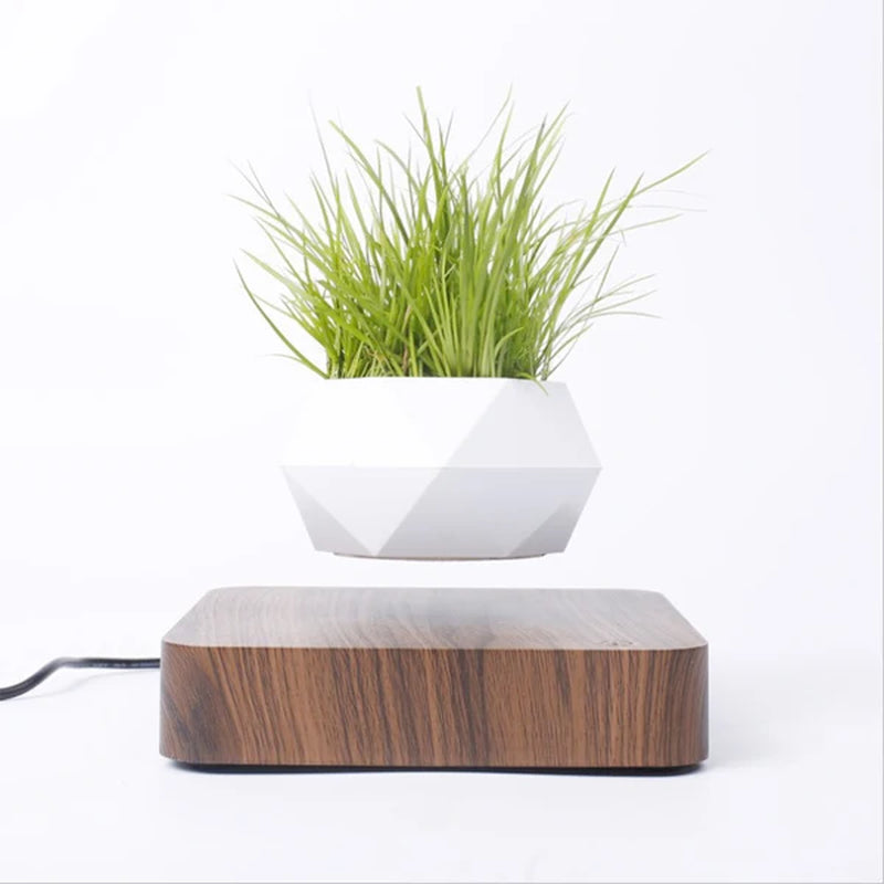Levitating Air Bonsai Pot with Magnetic Suspension - Rotating Floating Planter for Desk Decor