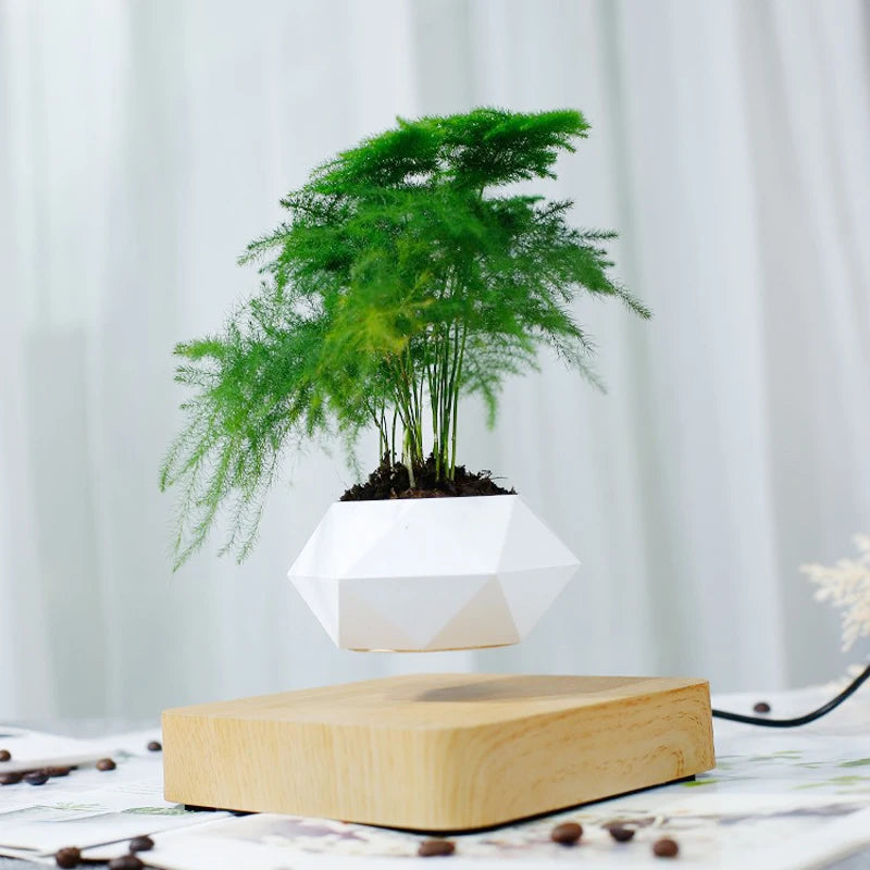 Levitating Air Bonsai Pot with Magnetic Suspension - Rotating Floating Planter for Desk Decor