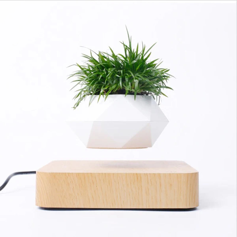 Levitating Air Bonsai Pot with Magnetic Suspension - Rotating Floating Planter for Desk Decor