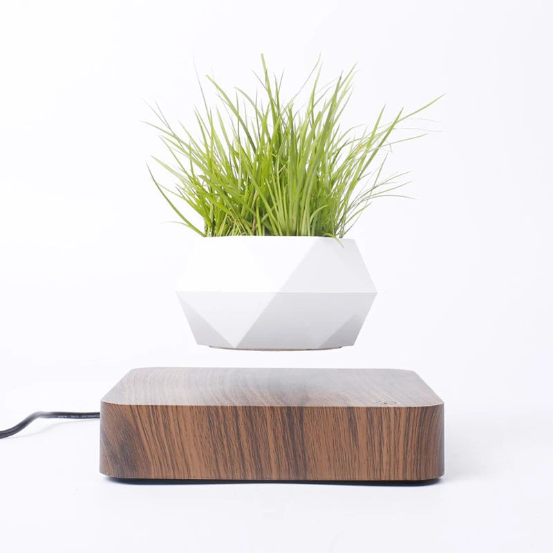 Levitating Air Bonsai Pot with Magnetic Suspension - Rotating Floating Planter for Desk Decor